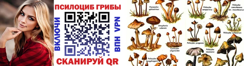 Галлюциногенные грибы Magic Shrooms kraken онион Малгобек